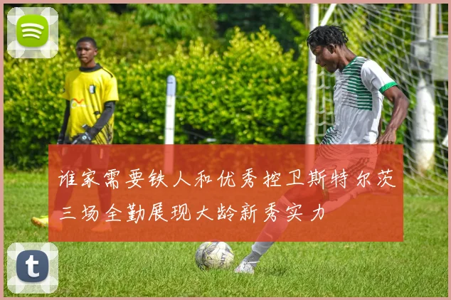 谁家需要铁人和优秀控卫斯特尔茨三场全勤展现大龄新秀实力